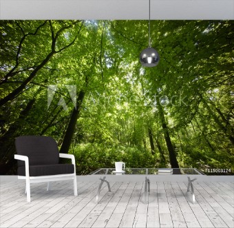 Picture of Trees in a green  forest